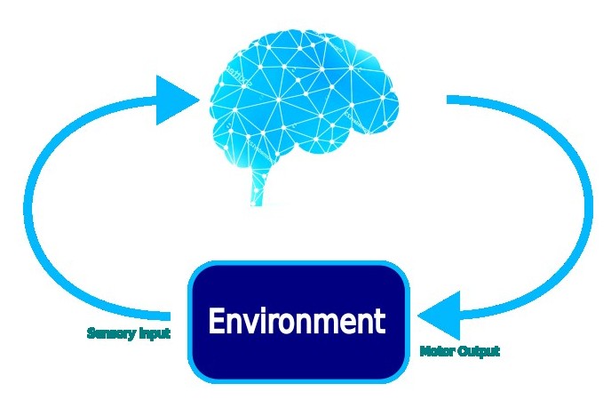 Synthetic Sentience Arising From Real-Time Simulation