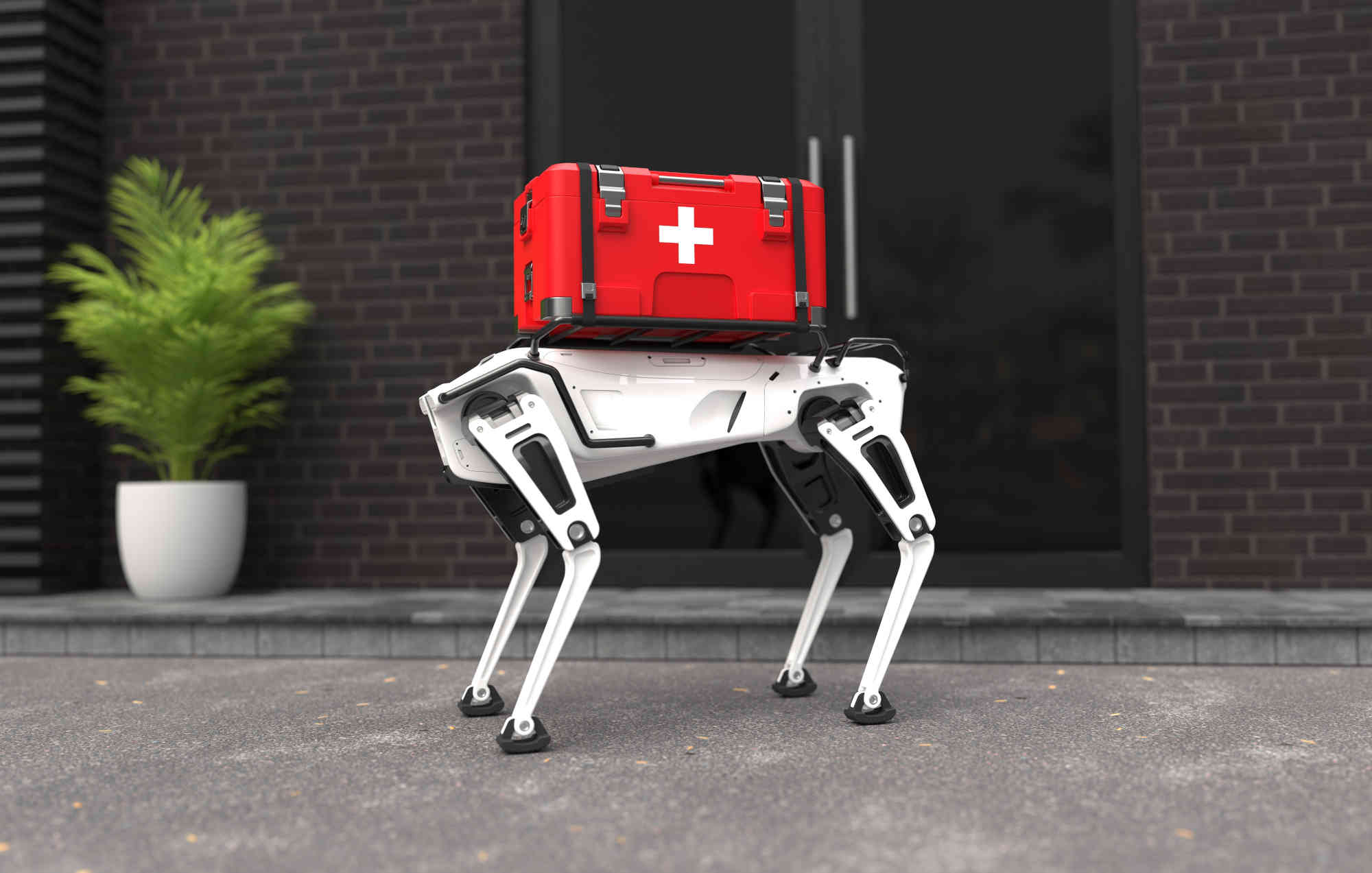 Autonomous Robotic Dog